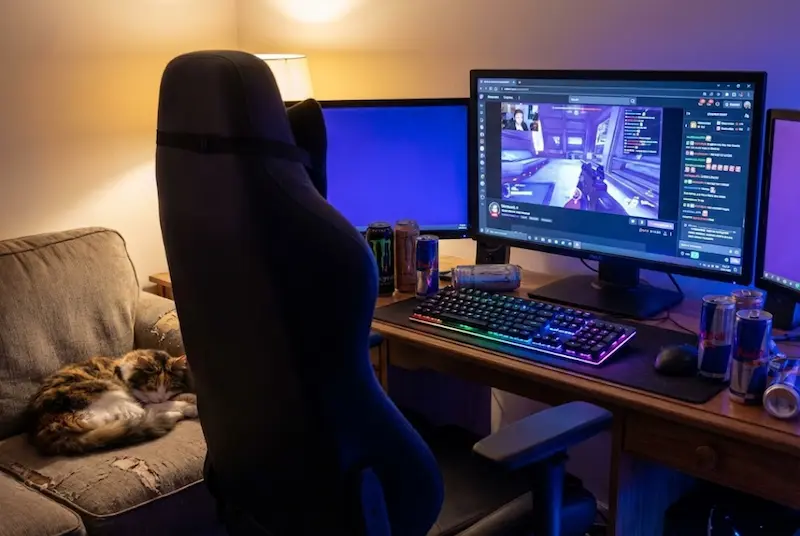 Who Are CaseOh, Kylie, Summit1g, and Shroud