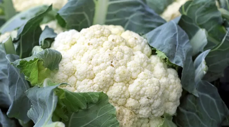 Cauliflower - Health Benefits and Recipe Tips
