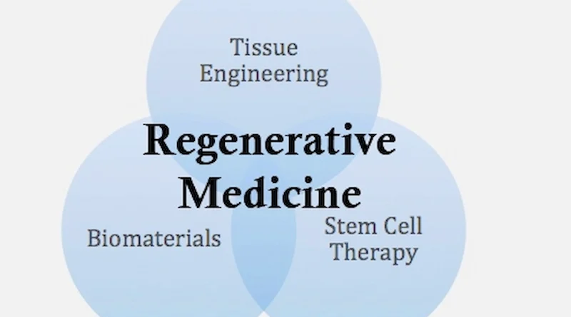 Exploring the Principles of Regenerative Medicine