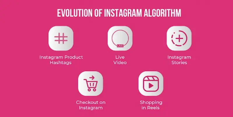 Stay Updated on Algorithm Changes  