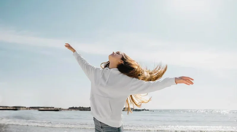 Boosting Life Quality Nobullswipe A Comprehensive Technical Guide