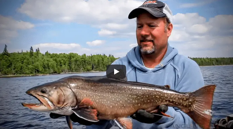 Planning Your Next Deep Sea Fishing Adventure Tips, Insights, and What to Expect