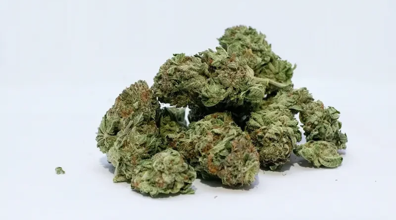 Innovations in Cannabis Delivery New Trends Reshaping the Market