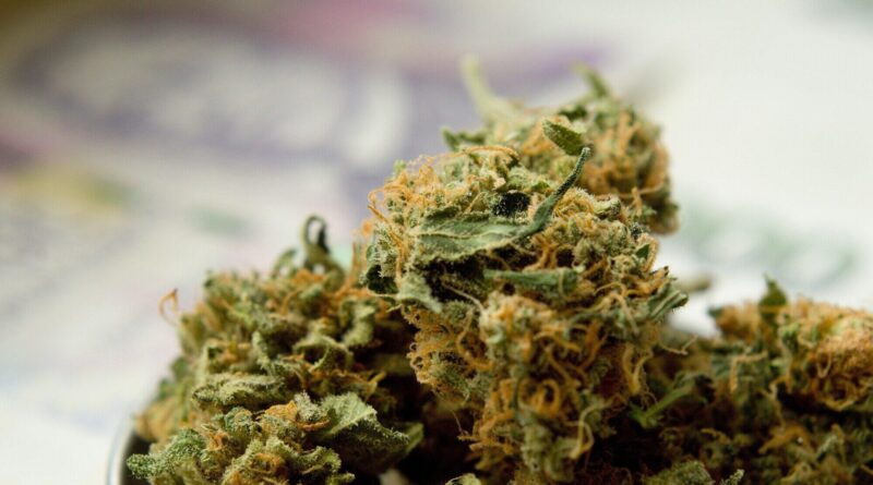 What to Know About Hemp-Derived Products and Their Effects