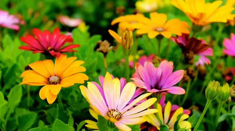 5 Mistakes Hosts Make With Flowers That Kill the Party Mood