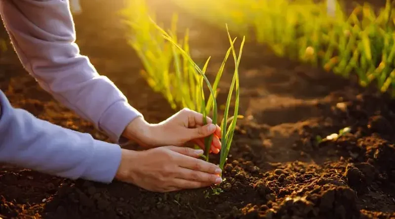 Simple Steps to Identify the Best Environmental Services for Your Needs