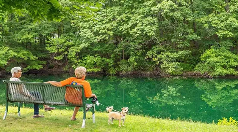 Pet Friendly Beach Rentals NC Indoor & Outdoor Spaces That Make a Difference