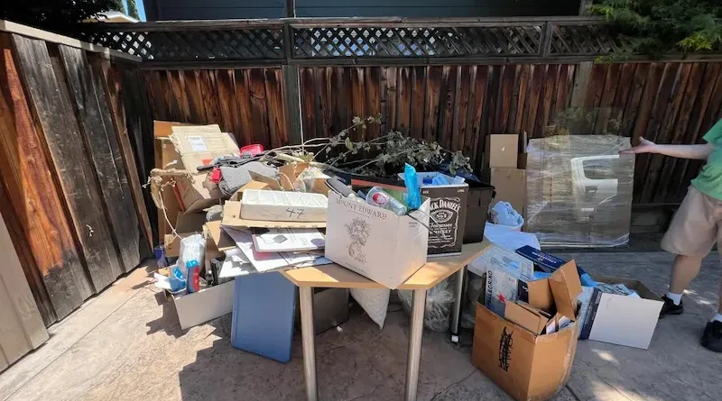 Clear the Clutter Essential Prep Steps Before Starting Shed Demolition