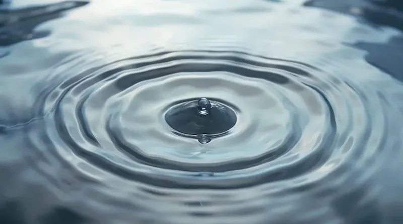 Wellozgalgoen Exploring the Innovation Powering a New Generation of Technology