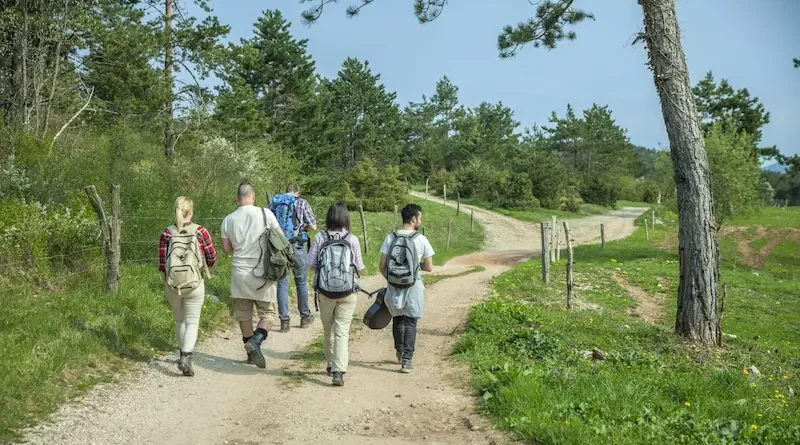 Why Guided Walks Are the Best Way to See Eurobodalla’s Secret Trails