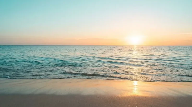 Cyanová What It Means, How It's Used, and Why It Matters